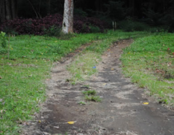 jalur trekking